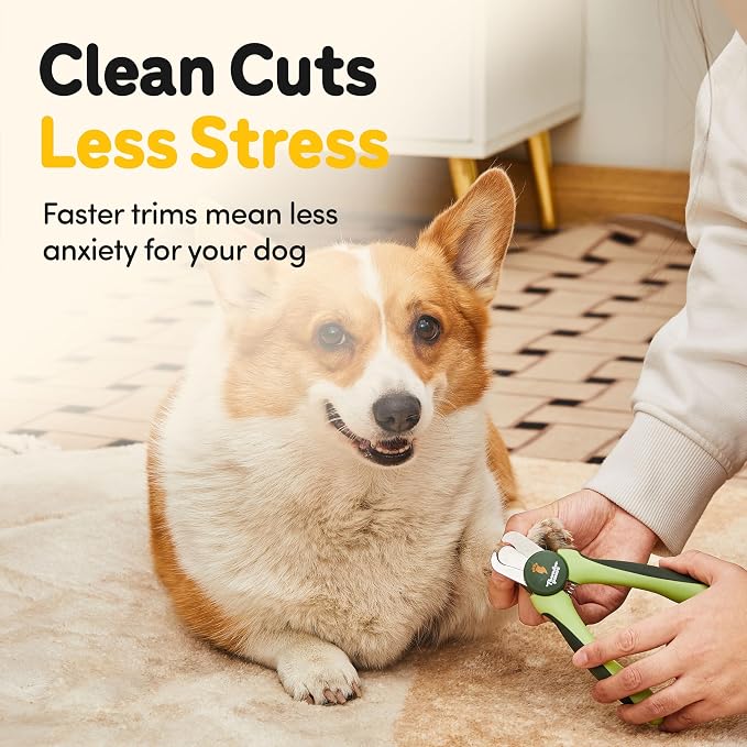 LED Dog Nail Clippers with Light Illumination, Trimmers with Protective Guard, Safety Lock and Nail File - Suitable for Large and Small Dogs & Cats (Green)