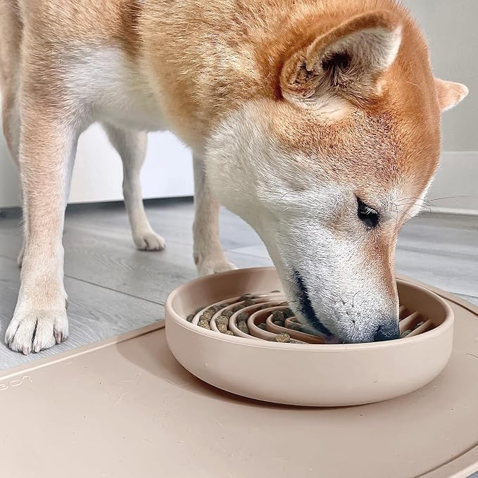 Should We Go? Slow Feeder Dog Bowls - Medium Size Silicone Slow Eating Dog Bowl for Puppies & Dogs with Suction Cup -Dishwasher-Safe, Lick Mat Design, Reduces Gulping,for All Breeds,7.5”x1.5”- Sand