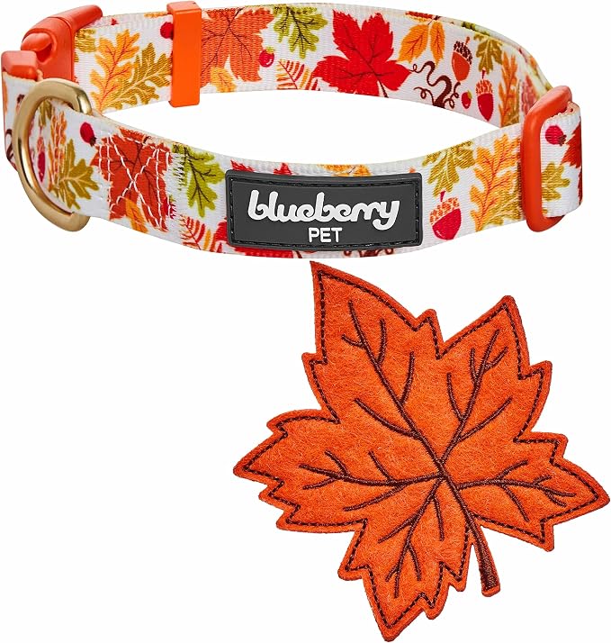 Blueberry Pet Thanksgiving Fall Maple Adjustable Dog Collar with Detachable Accessory, Small, Neck 12"-16"