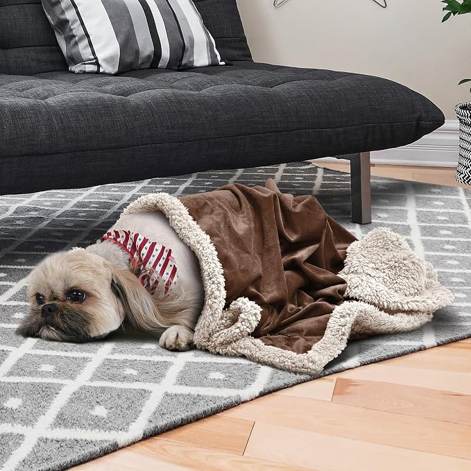 Pawsse Sherpa Puppy Blanket for Small Dogs Kitten, Warm Flannel Plush Pet Bed Blanket Reversible, 45"x30" Brown/Latte