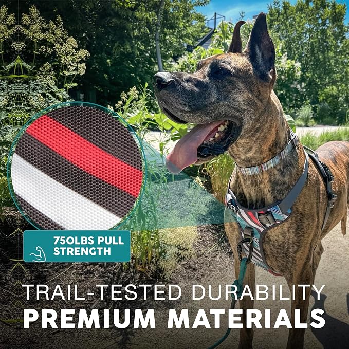 Embark Adventure Dog Harness for Small, Medium & Large Dogs – No Pull, Reflective Trim, Heavy Duty Oxford, 2 Leash Clips, Gel-Lined Handle, Soft Padded