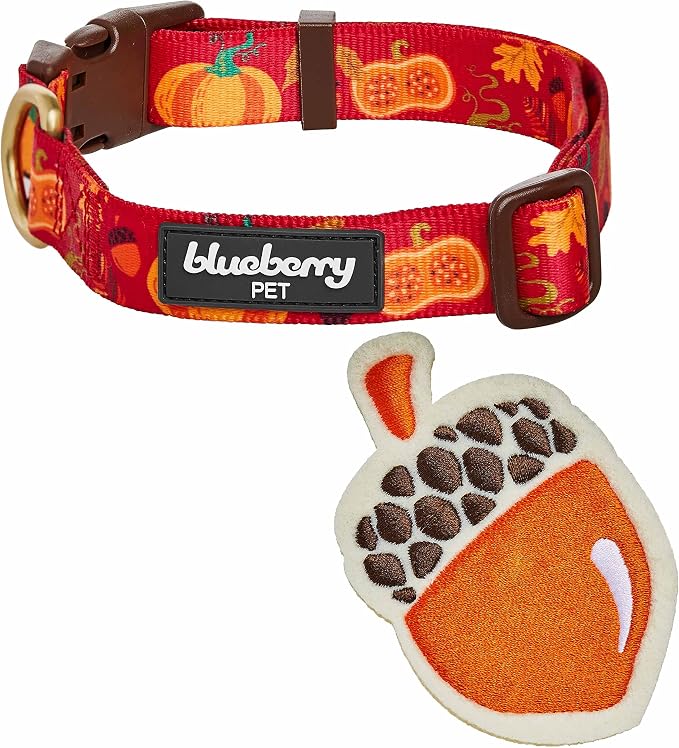 Blueberry Pet Seasonal Dog Collar, Woodland Pattern Acorn Design, Adjustable Fall Harvest Dog Collar for Thanksgiving, Medium Pet Collar for Fall with Detachable Accessory