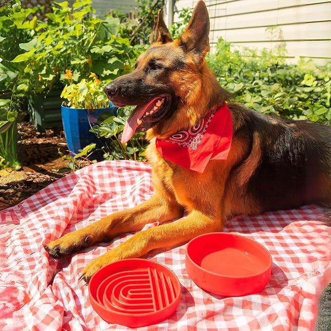 Should We Go? Slow Feeder Dog Bowls - Medium Size Silicone Slow Eating Dog Bowl for Puppies & Dogs with Suction Cup -Dishwasher-Safe, Lick Mat Design, Reduces Gulping,for All Breeds,7.5”x1.5”- Cherry