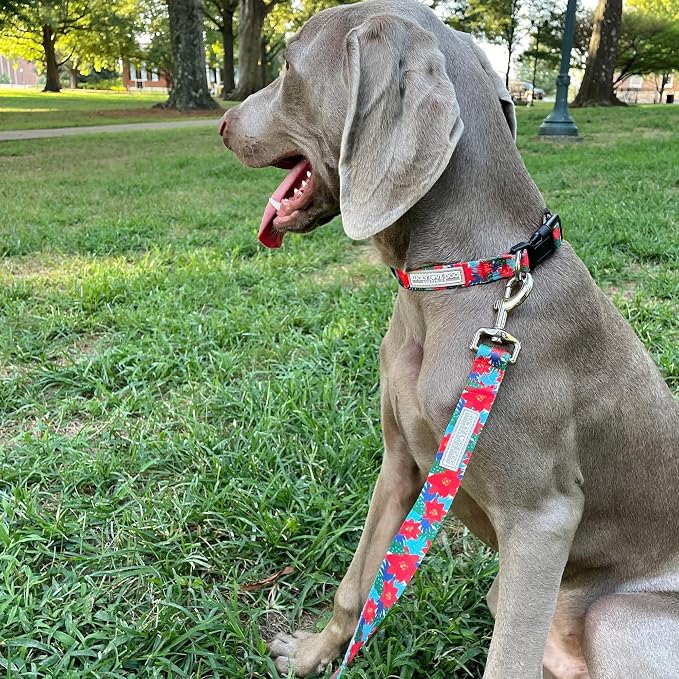 Lucky Love Dog - Easy Click Noel Dog Collar with Leash Set Combo, Durable & Comfortable for Male & Female Dogs, Pet Collar for Small Dogs, Secure Fit - Noel Combo, XS