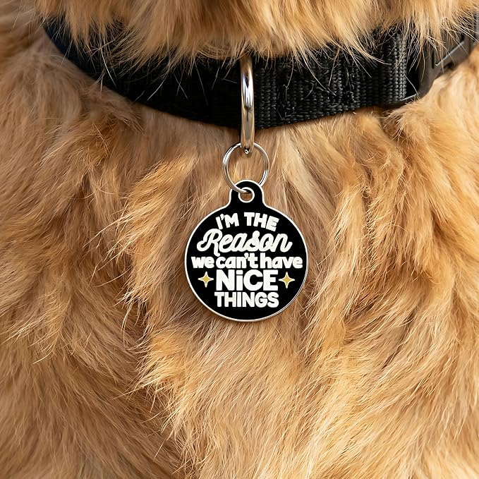 Bad Tags Personalized Dog and Cat ID Tags in 25+ Designs and 2 Sizes - 5 Lines of Custom Engraved Text - Funny Cute Personalized Pet Tags (I'm The Reason We Can't Have Nice Things, Large (1.25 inch))