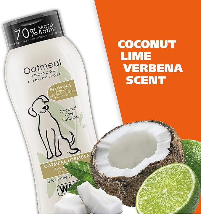 Wahl USA Dry Skin & Itch Relief Pet Shampoo for Dogs – Oatmeal Formula with Coconut Lime Verbena Scent & Pet Friendly Formula, 24 Oz - Model 820004A | Oatmeal Formula Moisturizes Skin & Provides Itch Relief For Sensitive Skin Dogs, Pet Friendly Formula...