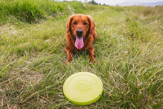 WEST PAW Zogoflex Zisc Dog Flying Disc, High Flying Aerodynamic Disc for Dogs Puppy – Lightweight, Floatable Disc for Fetch, Tug of War, Catch, Play – Doubles as Food/Water Bowl, Small, Granny Smith