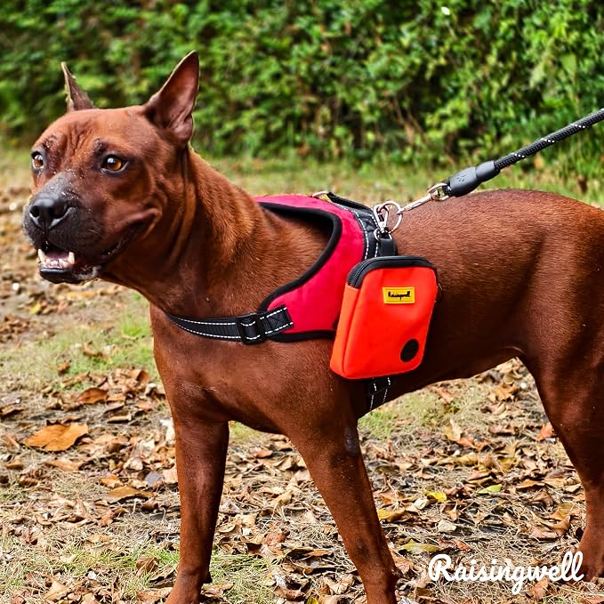 Raisingwell Dog Treat Pouch for Pet Walking and Training with Clicker Poop Bags Small Fanny Zipper Pack Holder for Puppy Snack Dispenser Kit for Leash and Outdoor Use (Orange)