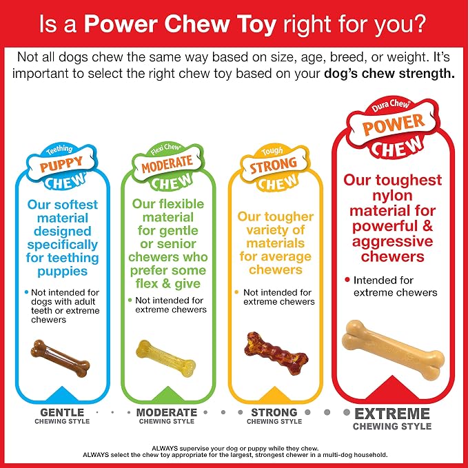 Nylabone Power Chew Breast Cancer Awareness Femur Bone Chew Toy for Dogs, Indestructible Dog Toys for Aggressive Chewers, Chicken Flavor, X-Large/Souper (1 Count) (Pack of 2)