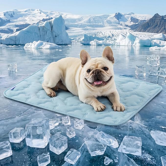 LE SURE Dog Cooling Mat for Medium Dogs - Q-Max>0.5 Breathable Thin Cool Crate Pad for Puppy with Chill Fiber and Innovative Mesh Base Design, Portable Washable Pet Kennel Mat for Summer, 29x21,Blue