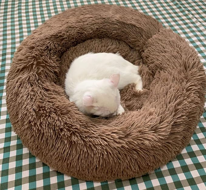 Modern Soft Plush Round Pet Bed for Cats or Small Dogs, Mini Medium Sized Dog Cat Bed Self Warming Autumn Winter Indoor Snooze Sleeping Cozy Kitty Teddy Kennel (24'' D x 8'' H, Coffee)