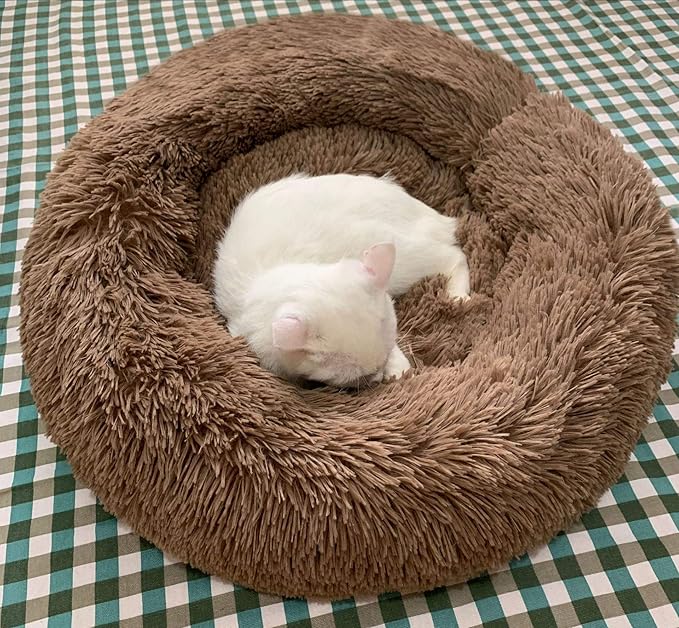 Modern Soft Plush Round Pet Bed for Cats or Small Dogs, Mini Medium Sized Dog Cat Bed Self Warming Autumn Winter Indoor Snooze Sleeping Cozy Kitty Teddy Kennel (20'' D x 8'' H, Coffee)
