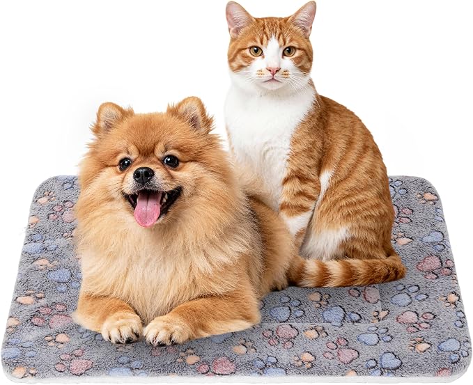 Dog Bed Mat,Soft Dog Kennel Pad with Cute Pattern (Gray Paw, XXL) | Multi-Size Durable & Machine Washable,Pet Pad for Dogs & Cats