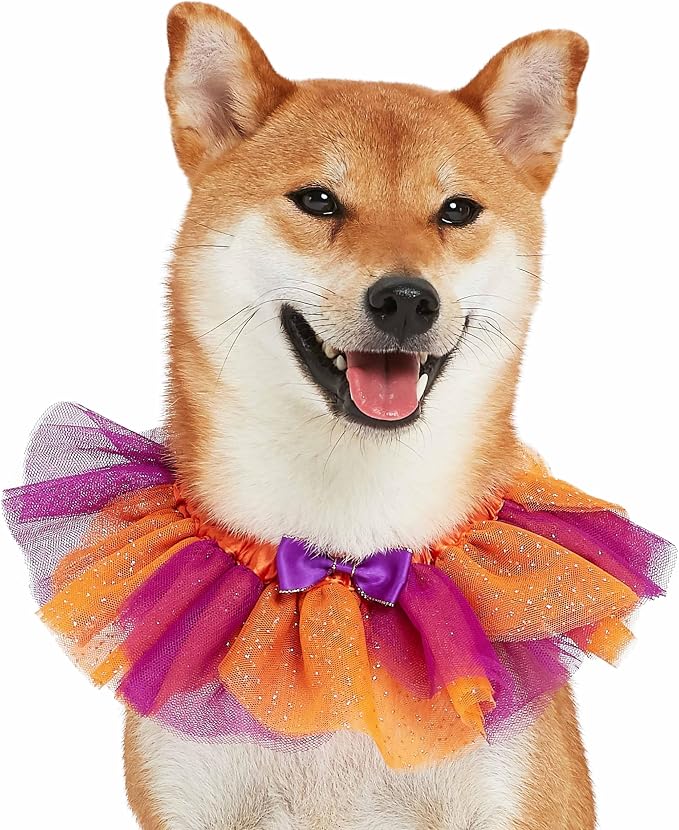 Blueberry Pet Halloween Party Adjustable Breakaway Costume Dog Collar in Warm Tone, X-Small