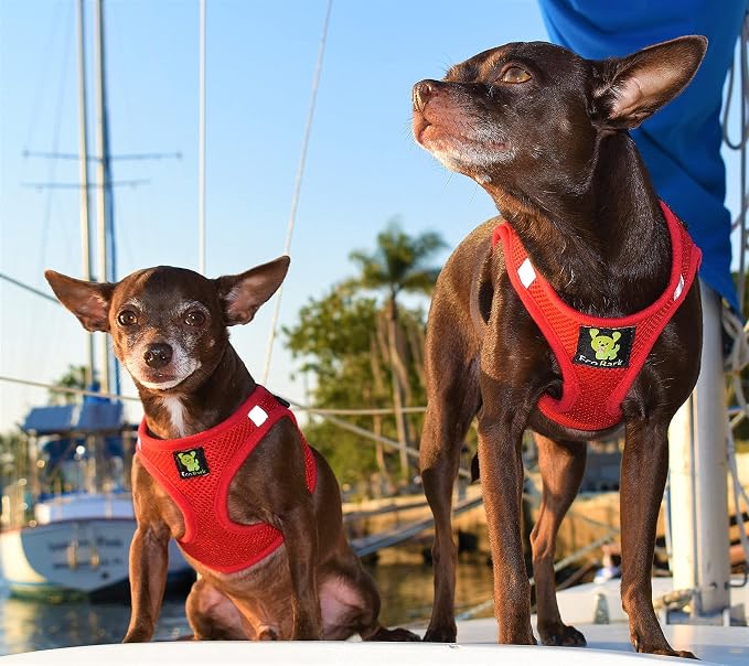 EcoBark Rapid Fastener Super Comfort Fully Adjustable Double Padded Step in Dog Harness (X-Large, Red)