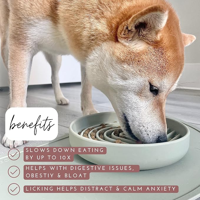 Should We Go? Slow Feeder Dog Bowls - Medium Size Silicone Slow Eating Dog Bowl for Puppies & Dogs with Suction Cup -Dishwasher-Safe, Lick Mat Design, Reduces Gulping,for All Breeds,7.5”x1.5”- Tan
