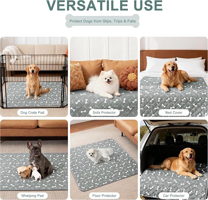 Eterish Reusable Washable Pee Pads for Dogs Large/Extra Large 36'' x 41'' 2 Pack, Absorbent Pet Puppy Dog Training Pads Non-Slip, Waterproof Whelping Potty Pads for Dogs Leak-Proof