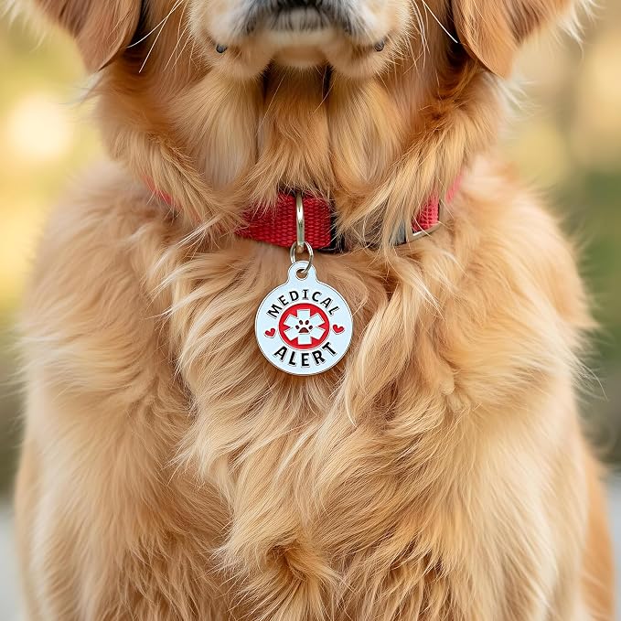 Bad Tags Personalized Dog and Cat ID Tags in 25+ Designs and 2 Sizes - 5 Lines of Custom Engraved Text - Funny Cute Personalized Pet Tags (Medical Alert, Small (1 inch))