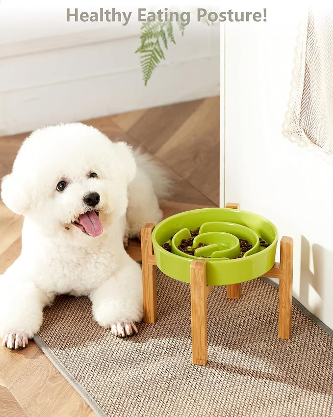 Ceramic Slow Feeder Dog Bowls Elevated, 2.0 Cups Slow Feeder for Medium Dogs, Puzzle Maze Bowl to Slow Down Eating, 30oz, 8in, Green