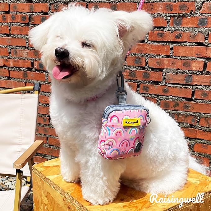Raisingwell Dog Treat Pouch for Pet Walking and Training with Clicker Poop Bags Small Fanny Zipper Pack Holder for Puppy Snack Dispenser Kit for Leash and Outdoor Use (Rainbow)