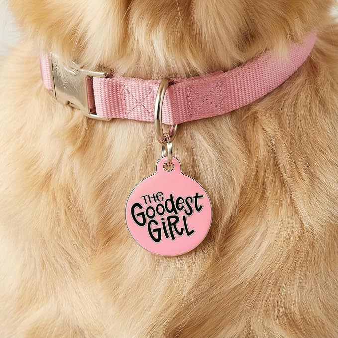 Bad Tags Personalized Dog and Cat ID Tags in 25+ Designs and 2 Sizes - 5 Lines of Custom Engraved Text - Funny Cute Personalized Pet Tags (The Goodest Girl, Small (1 inch))