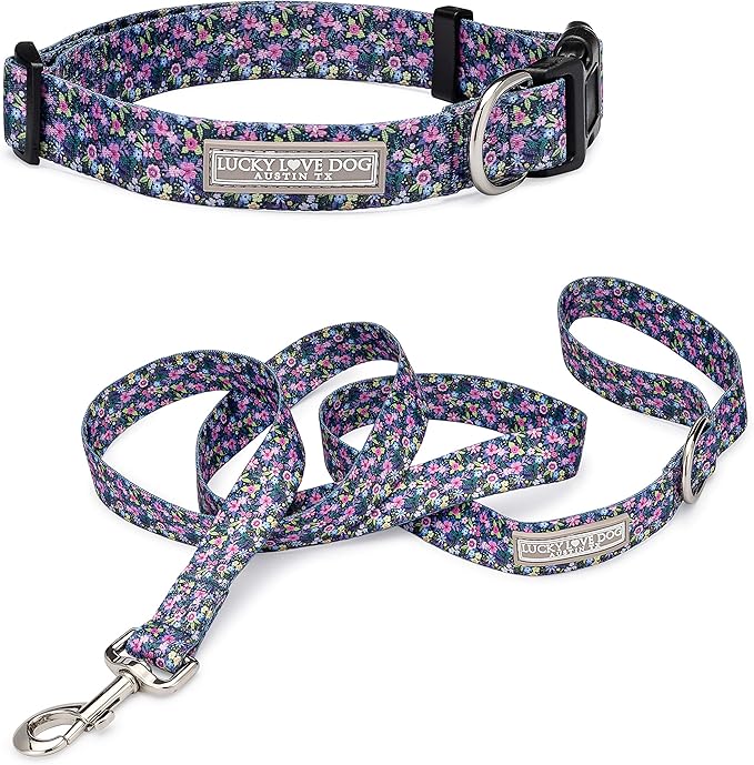 Lucky Love Dog - Easy Click Buckle Dog Collar with Leash Set Combo, Durable & Comfortable for Male & Female Dogs, Pet Collar for Medium Dogs, Secure Fit - Primrose Combo, Medium