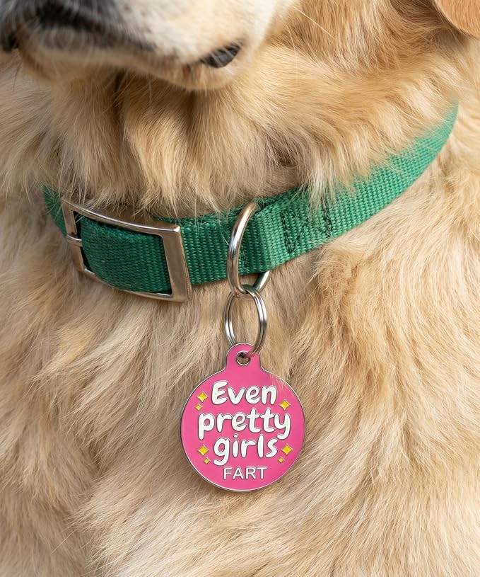 Bad Tags Personalized Dog and Cat ID Tags in 25+ Designs and 2 Sizes - 5 Lines of Custom Engraved Text - Funny Cute Personalized Pet Tags (Even Pretty Girls Fart, Small (1 inch))
