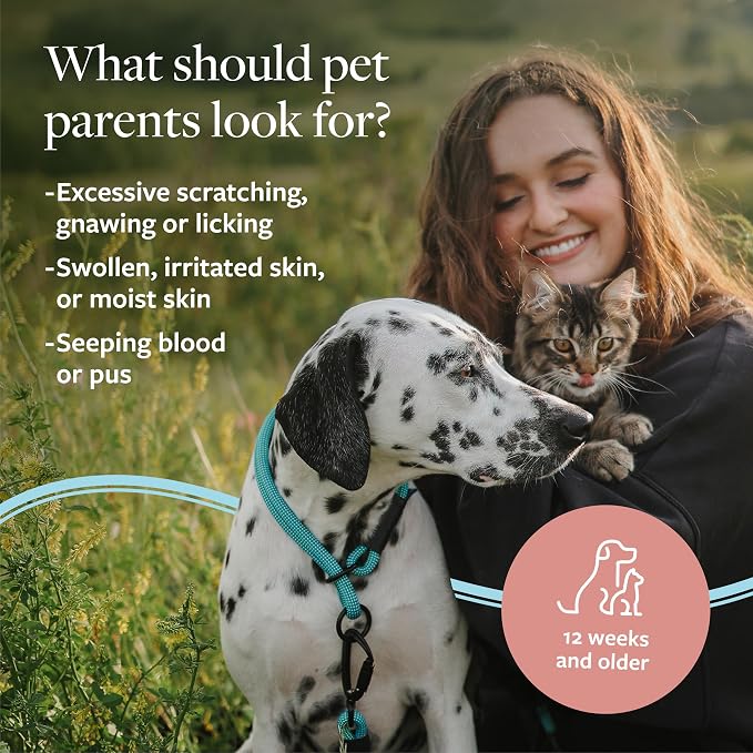 Veterinary Formula Clinical Care Hot Spot & Itch Relief Pet Shampoo, 16 oz | Medicated formula helps alleviate sensitive skin, scratching and excessive licking of the coat