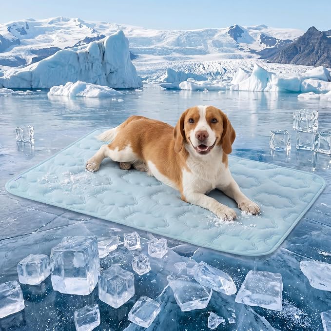 LE SURE Dog Cooling Mat for Large Dogs - QMAX>0.5 Breathable Thin Cool Crate Pad with Chill Cold Fiber and Innovative Mesh Base Design, Portable Washable Pet Kennel Mat for Summer, 36x27,Blue