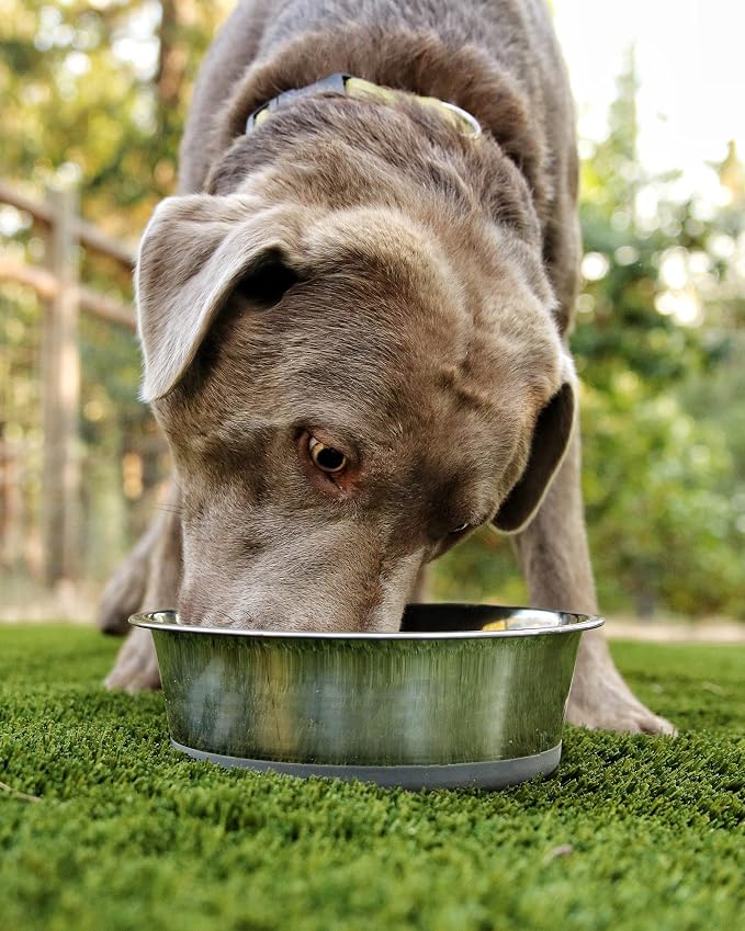 2.5 lb Weighted Dog Bowl - No Slip, No Tip - Heavy Stainless Steel Dog Bowl with Silicone Rubber Foot | Heavy Stainless Steel dog bowl with silicone rubber foot