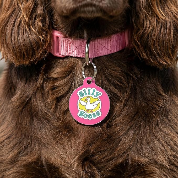 Bad Tags Personalized Dog and Cat ID Tags in 25+ Designs and 2 Sizes - 5 Lines of Custom Engraved Text - Funny Cute Personalized Pet Tags (Silly Goose - Pink, Small (1 inch))