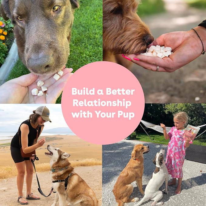 Pupford Freeze Dried Dog & Puppy Training Treats (Sweet Potato, 4 oz) | 450+ treats per bag, Ultra low-calorie, Only 1 ingredient, All breed sizes, Mess free and bite sized, Trainer recommended