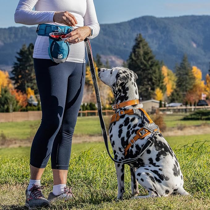 Kurgo Go Stuff It Dog Treat Bag, Training Treat Pouch Bag for Dogs, Treat Pouches for Pets, Hands-Free Pouch Waist, Reflective, Includes Carabiner, MOLLE-Compatible (Navy Blue) | MOLLE-Compatible Training Pouch with Drawstring Closure, Zippered Storage...