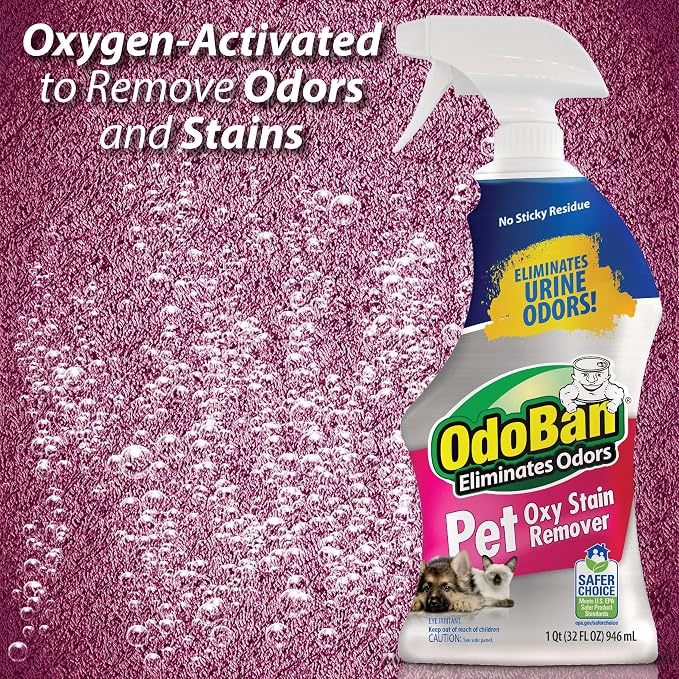 OdoBan Pet Solutions Oxy Stain Remover, Pet Stain Eliminator, Made in the USA, 8-Pack, 32 Ounce Spray Each
