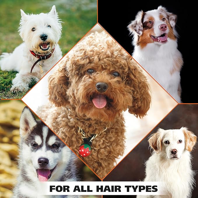 Wahl USA Dry Skin & Itch Relief Pet Shampoo for Dogs – Oatmeal Formula with Coconut Lime Verbena Scent & Pet Friendly Formula, 24 Oz - Model 820004A | Oatmeal Formula Moisturizes Skin & Provides Itch Relief For Sensitive Skin Dogs, Pet Friendly Formula...