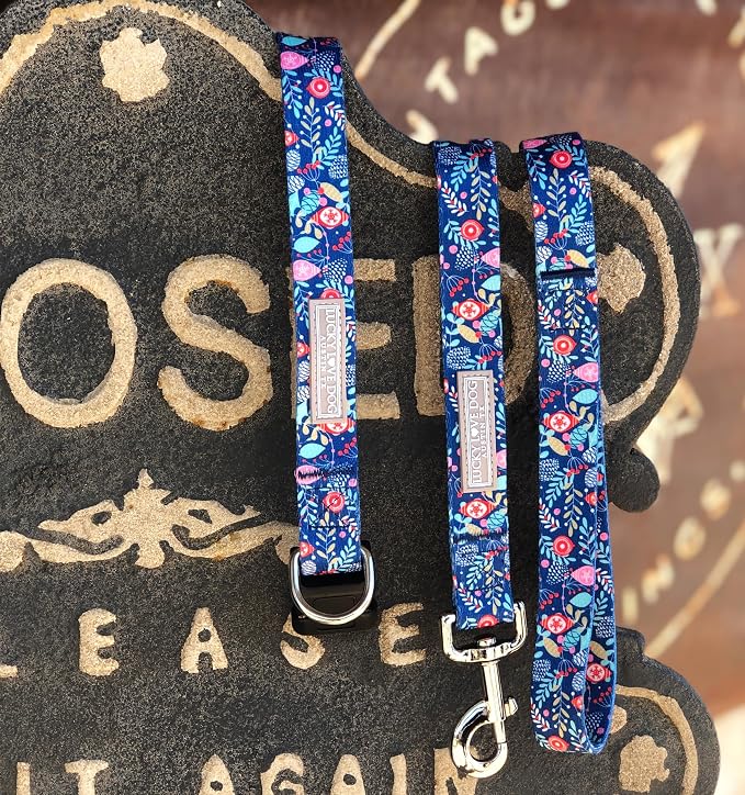 Lucky Love Dog - Adjustable Collar and Leash Set with Easy Click Buckle for Small Dogs, Durable, & Comfortable Collar for Male & Female Dogs, Puppies & Adult - Sweet Holiday Combo, XS
