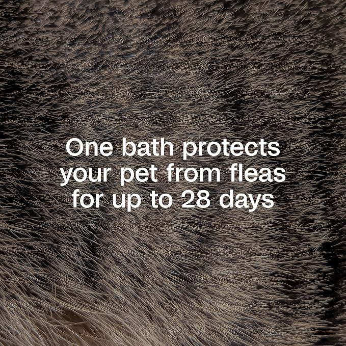 ADAMS Plus Flea & Tick Shampoo with Precor for Dogs, Cats, Puppies & Kittens, Flea Shampoo to Treat Infestations, Kills Ticks, Fleas, Flea Eggs & Lice, Cleans and Conditions Coat, 6 Ounces