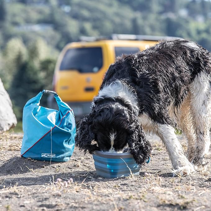Kurgo Kibble Carrier - Portable Kibble Carrier - Compact Travel Storage - Dog Food Dry Bag - Camping Dog Storage - 5 lb Capacity - Coastal Blue
